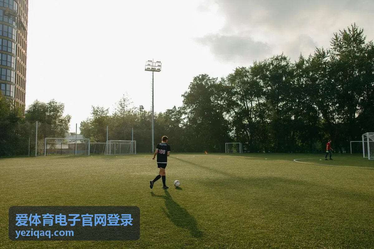 爱体育电子官网登录账号安全操作演示封面