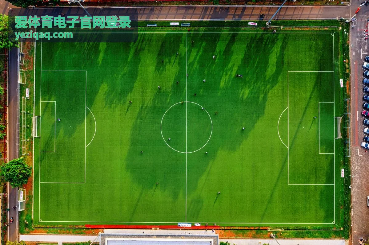 爱体育电子官网登录密码与验证设置示意图